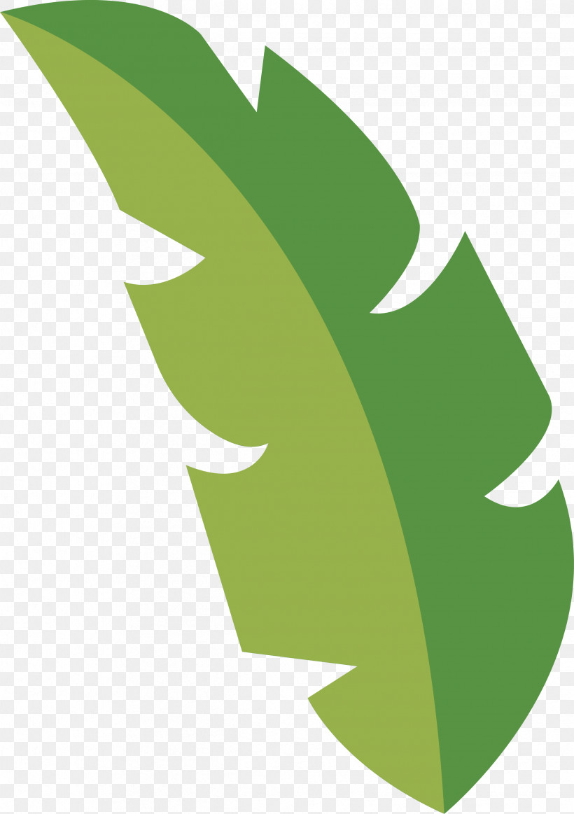 Leaf, PNG, 2427x3443px, Leaf, Angle, Green, Meter, Mtree Download Free