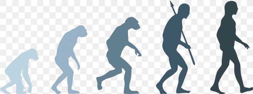 Neandertal Human Evolution Homo Sapiens, PNG, 2048x761px, Neandertal, Arm, Charles Darwin, Drawing, Evolution Download Free