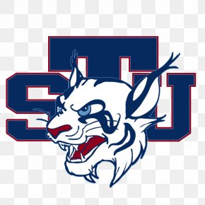 Student - St. Thomas University University Of St. Thomas Nova Southeastern University Lewisâ€“Clark State College Trinity International University PNG