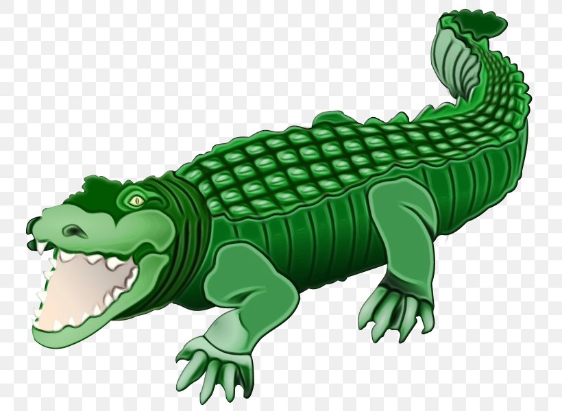 Watercolor Animal, PNG, 800x600px, Watercolor, Alligator, Alligators, American Alligator, American Crocodile Download Free