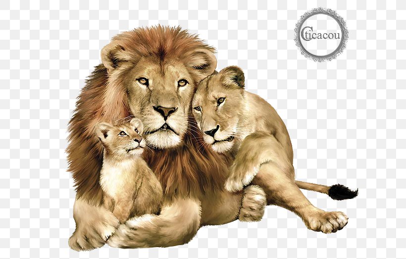 Baby Lions Lions Clubs International East African Lion Felidae Jaguar, PNG, 659x522px, Baby Lions, Big Cat, Big Cats, Carnivoran, Cat Like Mammal Download Free