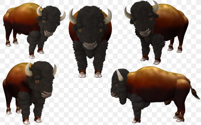 Bull Cattle Bison Horn Terrestrial Animal, PNG, 1024x640px, Bull, Animal, Bison, Cattle, Cattle Like Mammal Download Free