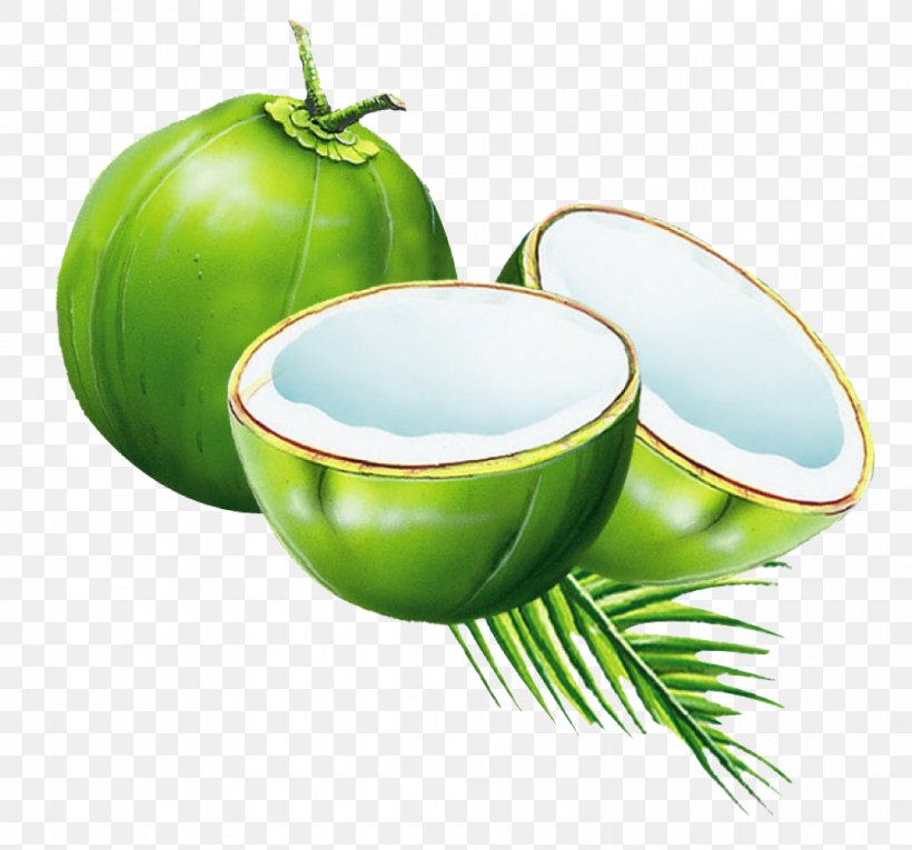 Coconut Water Juice Coconut Milk Powder, PNG, 1001x935px, Coconut Water, Arecaceae, Ash, Ceramic, Coconut Download Free