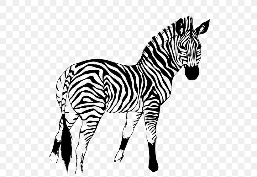 Quagga Horse Mountain Zebra, PNG, 564x564px, Quagga, Art, Big Cats, Black And White, Equus Download Free