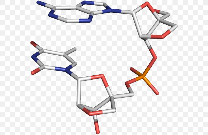 Locked Nucleic Acid Oligonucleotide Three-dimensional Space Nucleic Acid Analogue, PNG, 586x532px, Locked Nucleic Acid, Acid, Base, Bicyclic Molecule, Dimension Download Free