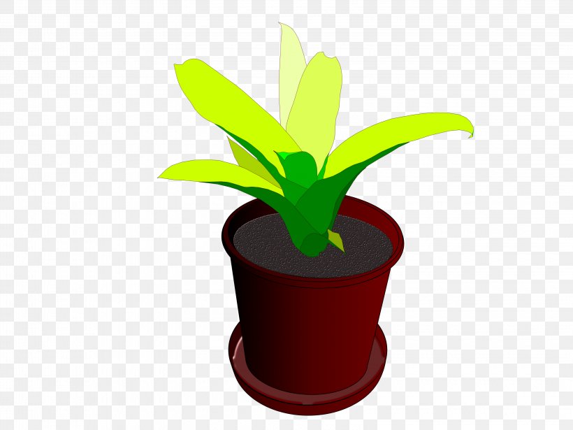 Houseplant Flowerpot Clip Art, PNG, 3200x2400px, Houseplant, Cactaceae, Cartoon, Flower, Flowerpot Download Free