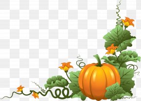 Watercolor Pumpkin - New Hampshire Pumpkin Festival Autumn Clip Art PNG