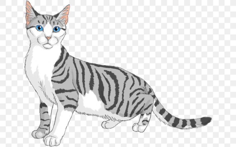 American Shorthair Kitten American Wirehair California Spangled Toyger, PNG, 652x512px, American Shorthair, American Wirehair, Asian, Australian Mist, Bengal Download Free
