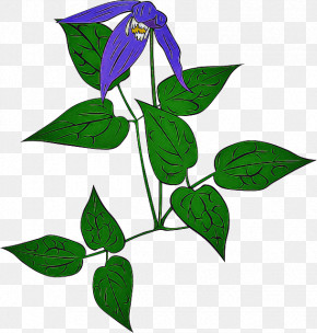 Flower Leaf Plant Plant Stem PNG