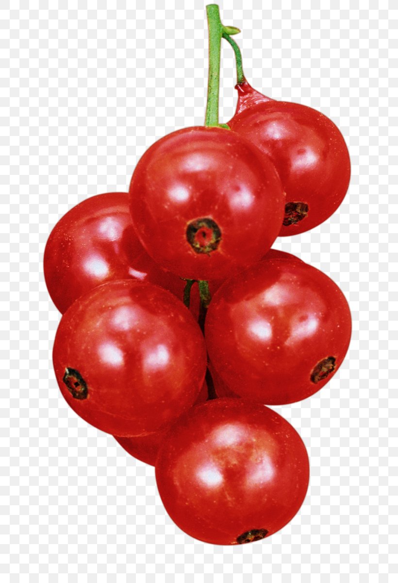 Plum Tomato Lingonberry Varenye Blackcurrant Accessory Fruit, PNG, 752x1200px, Plum Tomato, Accessory Fruit, Acerola, Acerola Family, Berry Download Free