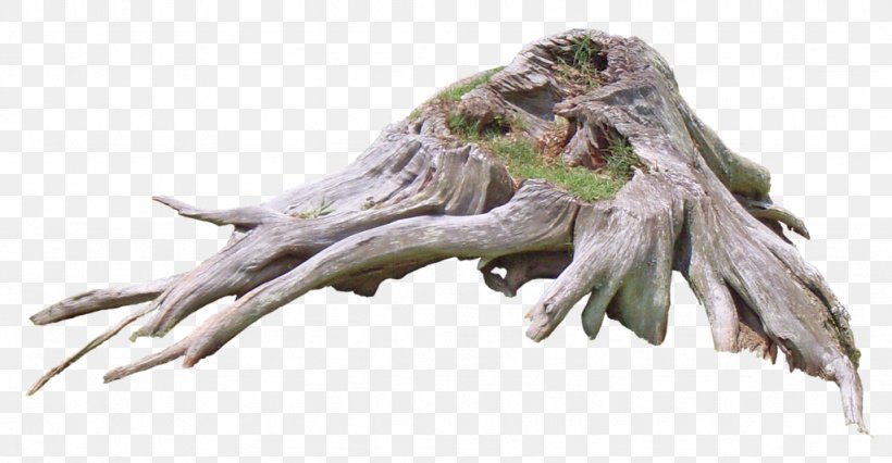 Tree Roots Clip Art, PNG, 1024x532px, Tree, Art, Editing, Fictional Character, Image File Formats Download Free