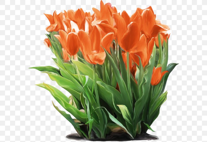 Floral Design Tulip Vase Cut Flowers, PNG, 600x565px, Floral Design, Artificial Flower, Cut Flowers, Floristry, Flower Download Free