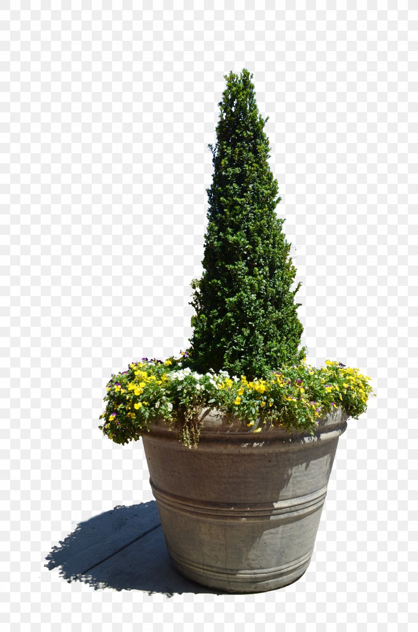 Flowerpot Vase DeviantArt, PNG, 3264x4928px, Flowerpot, Bonsai, Conifer, Cypress Family, Deviantart Download Free