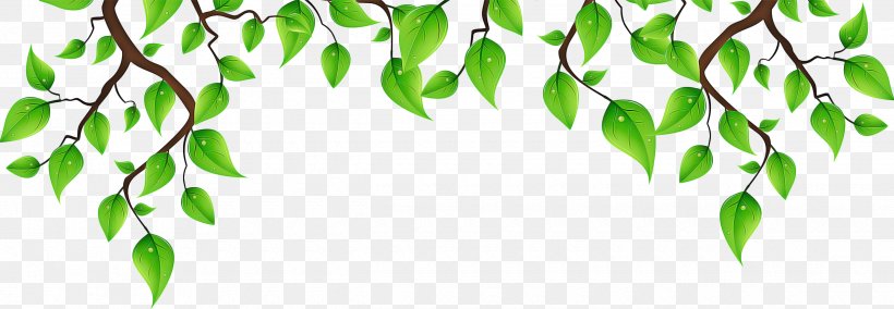 Green Leaf Background, PNG, 2480x860px, Leaflet, Bichon Havanese, Blog, Branch, Flower Download Free