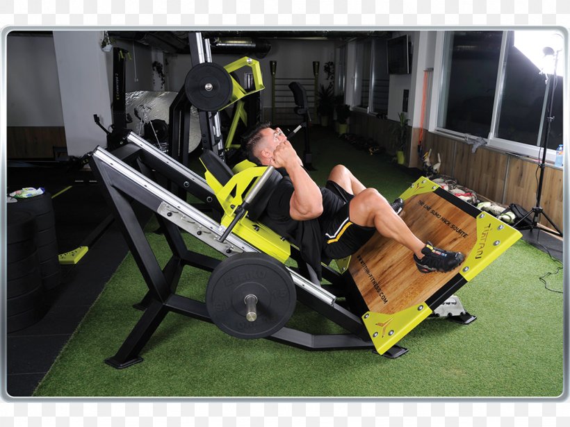 Indoor Rower Fitness Centre Physical Fitness Rowing Sports Venue, PNG, 1024x768px, Indoor Rower, Exercise, Exercise Equipment, Exercise Machine, Fitness Centre Download Free