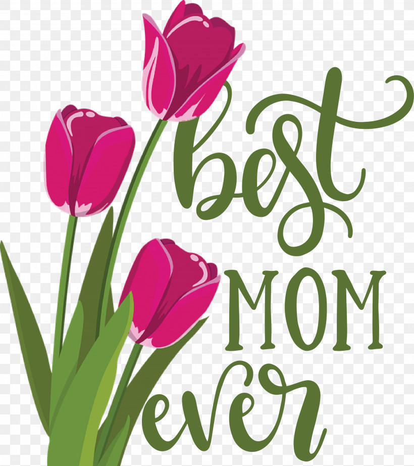 Mothers Day Best Mom Ever Mothers Day Quote, PNG, 2667x3000px, Mothers Day, Best Mom Ever, Color, Cut Flowers, Floral Design Download Free