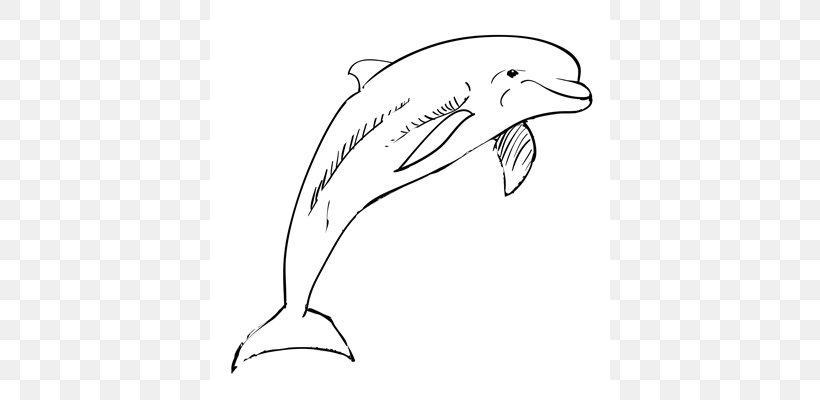Tucuxi Common Bottlenose Dolphin Drawing Sketch, PNG, 650x400px, Tucuxi, Art, Artwork, Automotive Design, Beak Download Free