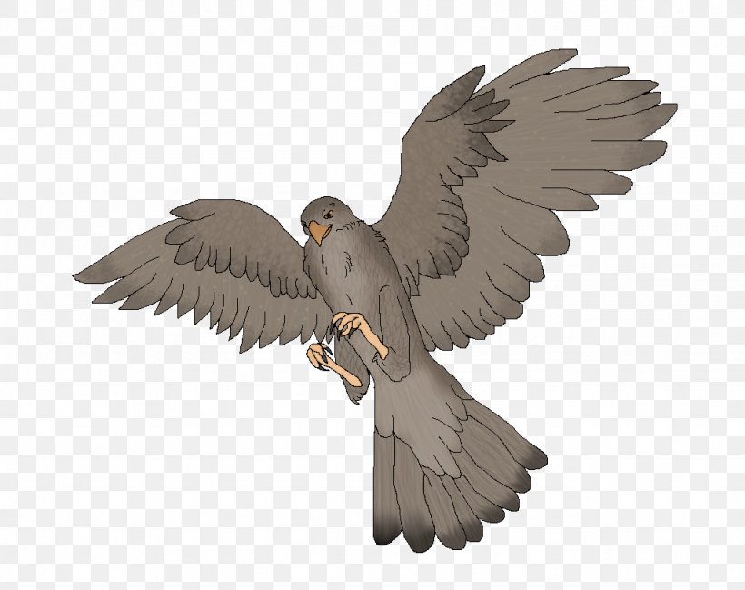 Eagle Common Buzzard Hawk Fauna, PNG, 1024x811px, Eagle, Accipitriformes, Beak, Bird, Bird Of Prey Download Free
