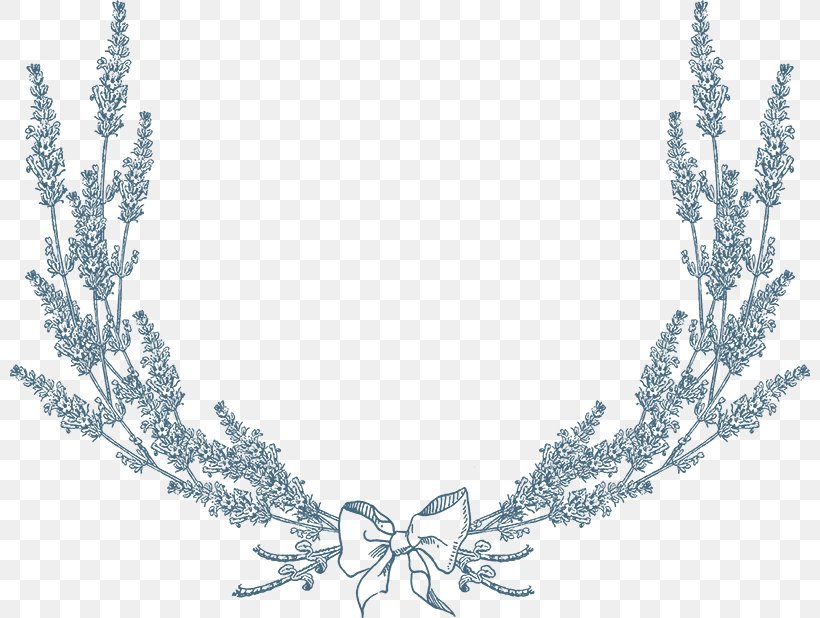 Lavender Drawing Laurel Wreath Iron-on, PNG, 800x618px, Lavender, Body Jewelry, Branch, Chain, Drawing Download Free