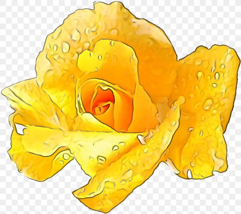 Orange, PNG, 1443x1283px, Yellow, Austrian Briar, Flower, Hybrid Tea Rose, Orange Download Free