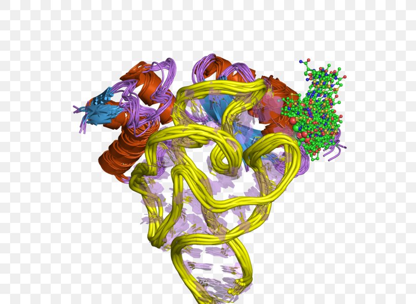 Peptidyl Transferase Ribosome 23S Ribosomal RNA Enzyme, PNG, 800x600px, 23s Ribosomal Rna, Peptidyl Transferase, Acyltransferase, Amino Acid, Aminoacyl Trna Synthetase Download Free