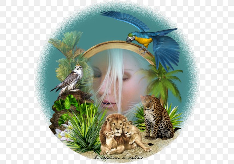 Wildlife Lion Ecosystem Fauna Beak, PNG, 605x575px, Wildlife, Beak, Ecosystem, Fauna, Lion Download Free