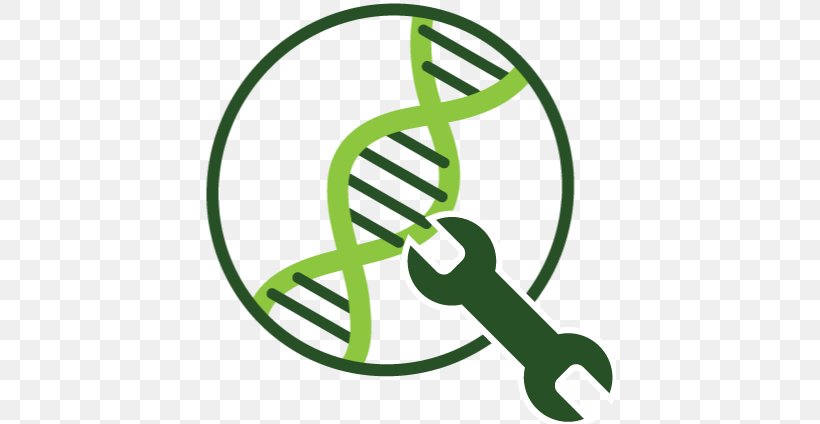 Algae Fuel Genetic Engineering Genetics, PNG, 412x424px, Algae Fuel, Algae, Area, Artwork, Biofuel Download Free