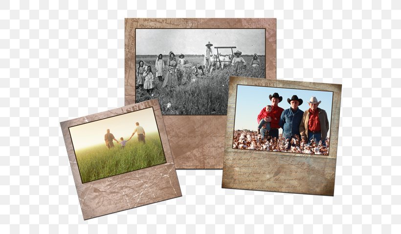 Farm Bayer Museum Of Agriculture Picture Frames, PNG, 600x480px, Farm, Bayer Museum Of Agriculture, Box, Museum, Picture Frame Download Free