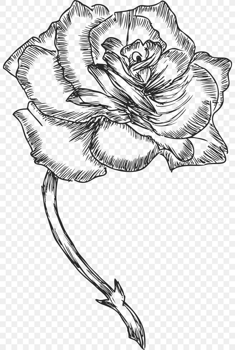 Floral Design Drawing Monochrome Painting Photography, PNG, 800x1220px, Floral Design, Art, Artwork, Black And White, Cut Flowers Download Free