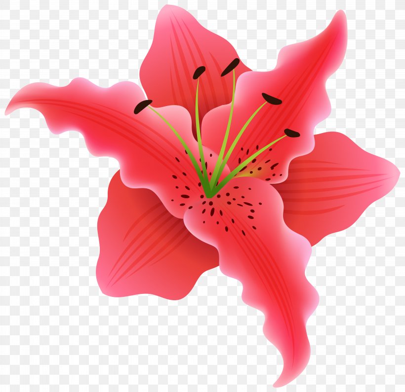 Flower Clip Art, PNG, 6223x6035px, Flower, Digital Image, Flower Bouquet, Flowering Plant, Hibiscus Download Free