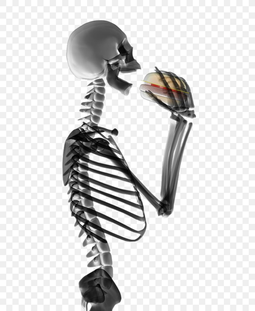 Hamburger Human Skeleton Eating Stock Photography, PNG, 707x1000px, Skeleton, Bone, Drinking, Eating, Food Download Free