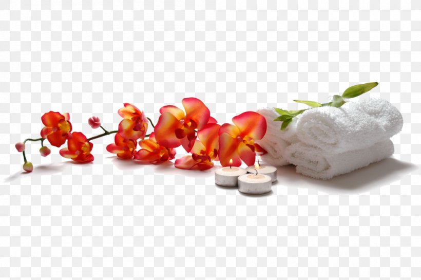Massage Therapy Bodywork Beauty Parlour Facial, PNG, 1000x665px, Massage, Aromatherapy, Bach Flower Remedies, Beauty Parlour, Bodywork Download Free