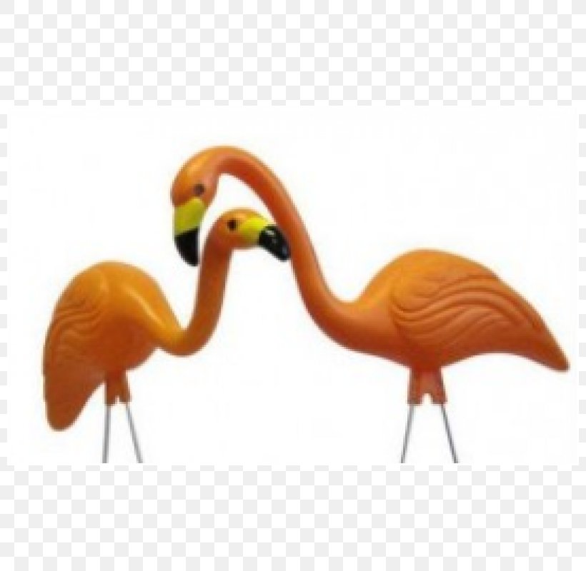 Flamingo The Home Depot Female Beak, PNG, 800x800px, Flamingo, Beak, Bird, Female, Home Depot Download Free