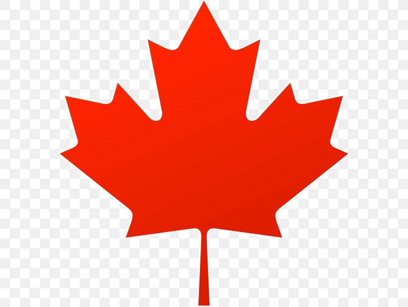 Maple Leaf Canada Clip Art, PNG, 618x618px, Maple Leaf, Canada, Flag Of Canada, Flower, Flowering Plant Download Free