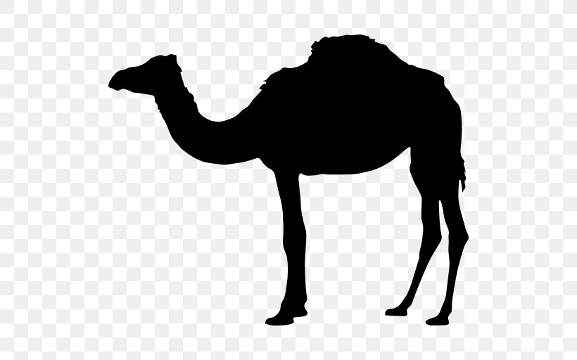 Bactrian Camel Vector Graphics Image Clip Art, PNG, 512x512px, Bactrian Camel, Arabian Camel, Art, Blackandwhite, Camel Download Free