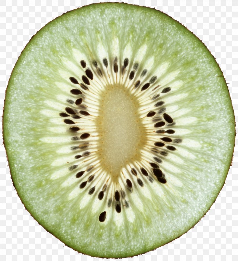 Kiwifruit, PNG, 1553x1705px, Kiwifruit, Actinidia Deliciosa, Clipping Path, Food, Fruit Download Free
