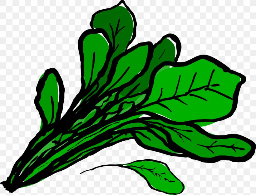 Food Spinach Leaf Clip Art, PNG, 1081x825px, Food, Artwork, Berry, Chard, Flora Download Free