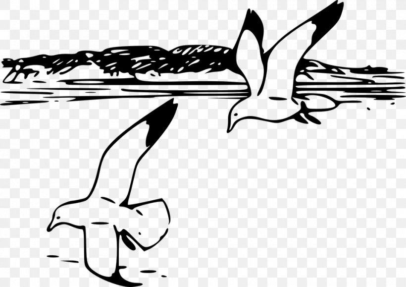 Gulls Shore Clip Art, PNG, 960x678px, Gulls, Area, Arm, Art, Artwork Download Free