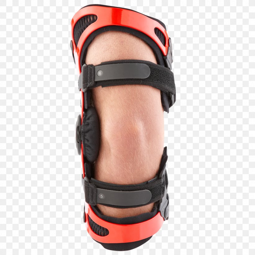 Knee Joint Osteoarthritis Orthotics Breg, Inc., PNG, 1024x1024px, Knee, Ankle, Arm, Arthritis, Breg Inc Download Free