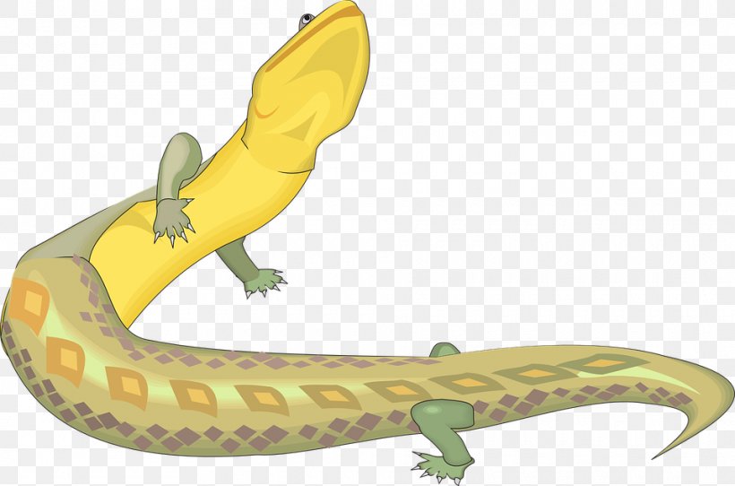 Lizard Reptile Yellow Dinosaur, PNG, 960x635px, Lizard, Amphibian, Animal Figure, Color, Crying Download Free