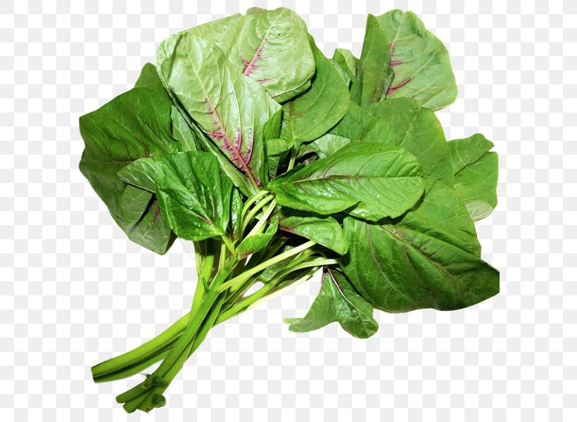 Spinach Leaf Vegetable Chard Komatsuna, PNG, 600x600px, Spinach, Amaranth, Amaranthus Viridis, Basil, Capitata Group Download Free