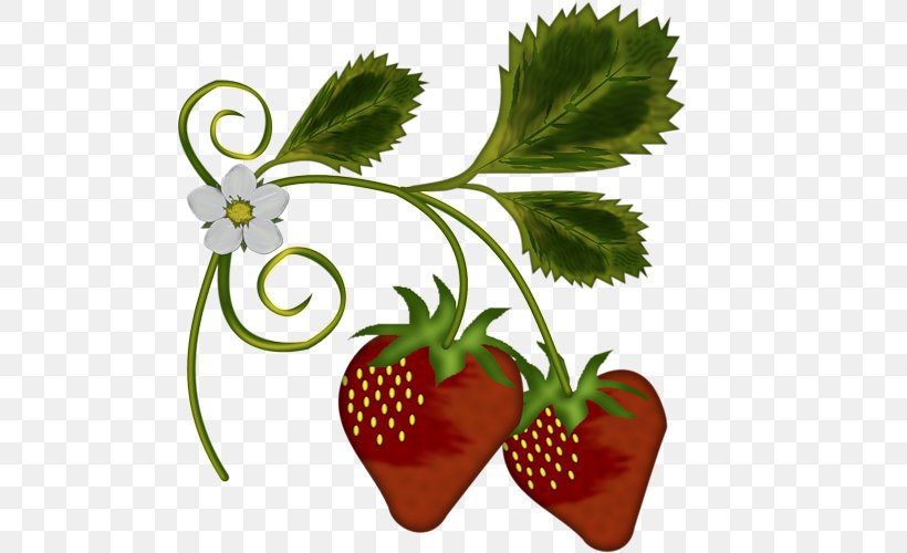 Strawberry Food Shortcake Fruit Amorodo, PNG, 500x500px, Strawberry, Amorodo, Flower, Flowerpot, Food Download Free