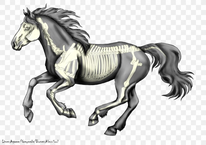 Stallion Canter And Gallop Mustang Pony Colt, PNG, 1024x724px, Stallion, Art, Bit, Black And White, Bridle Download Free