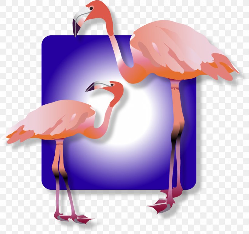 Water Bird Beak, PNG, 888x836px, Bird, Beak, Flamingo, Water Bird Download Free