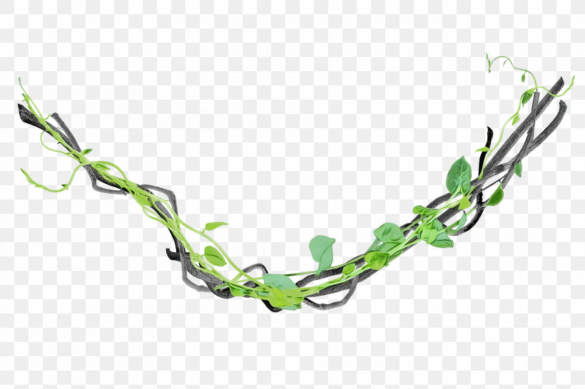 Floral Design PNG