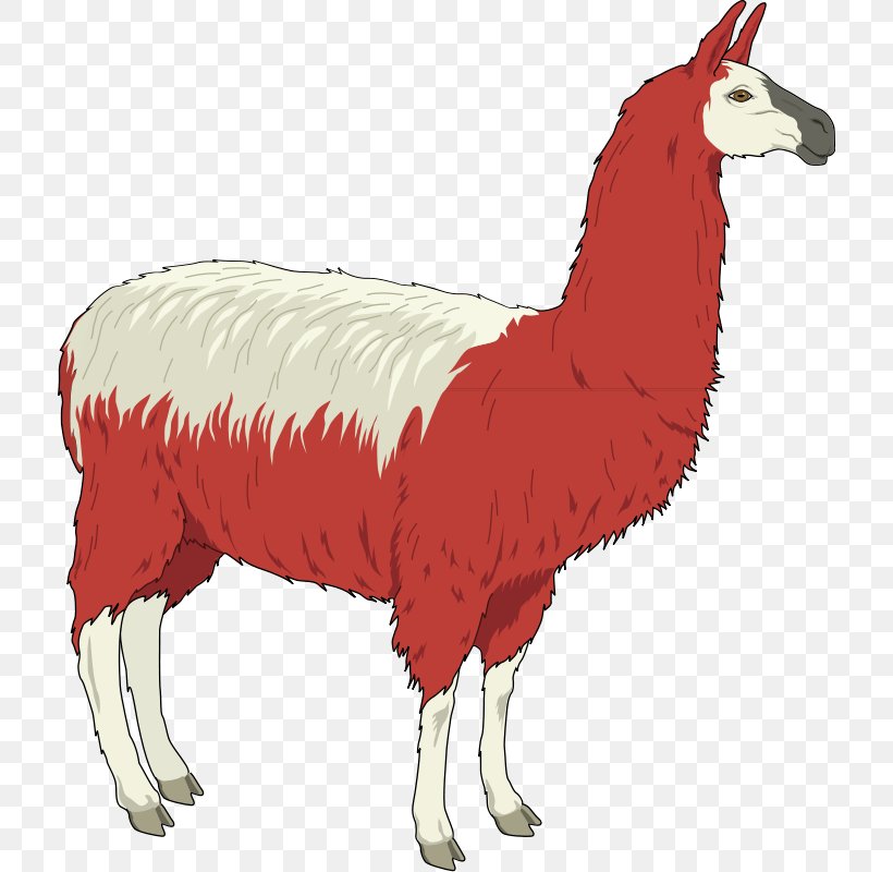 Llama Clip Art, PNG, 714x800px, Llama, Alpaca, Animal Figure, Beak, Camel Like Mammal Download Free