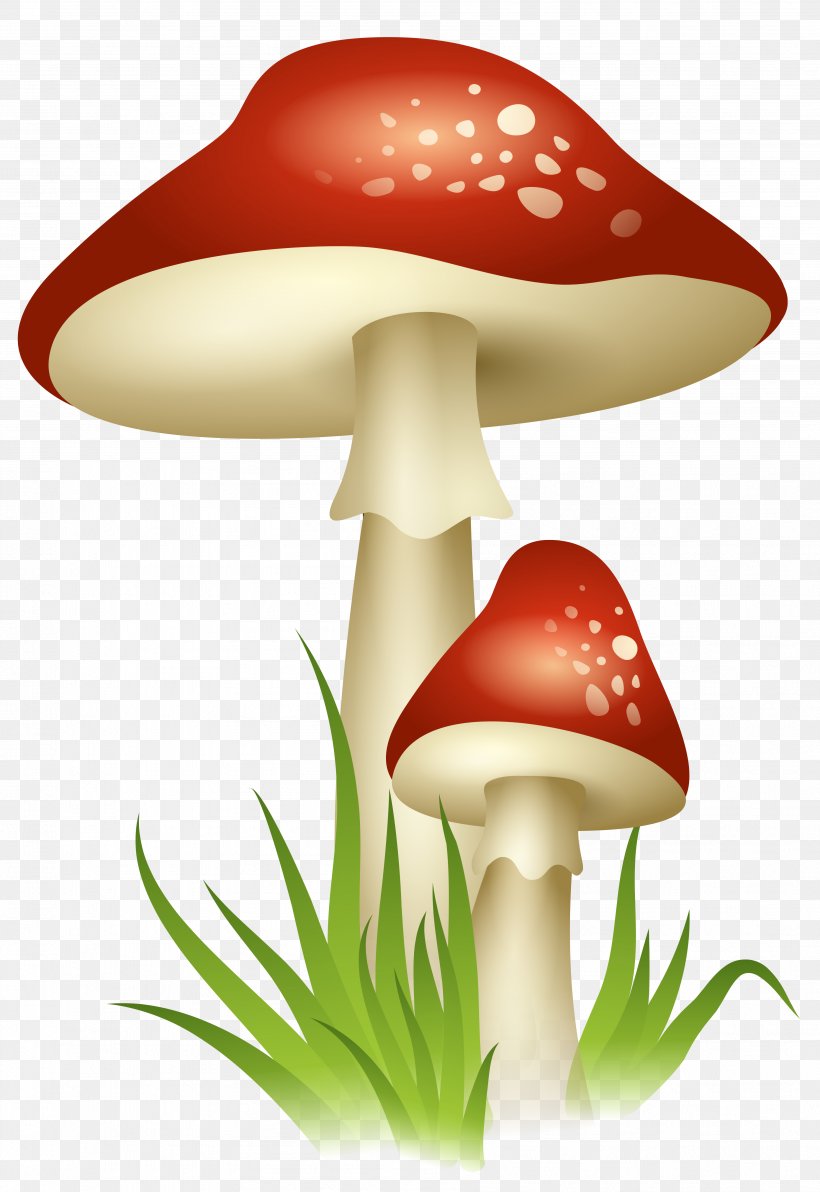 Mushroom Clip Art, PNG, 3599x5234px, Mushroom, Clip Art