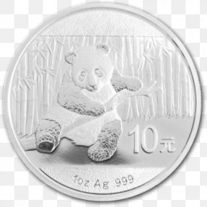 China Coin - Silver Coin Silver Coin Giant Panda Chinese Silver Panda PNG