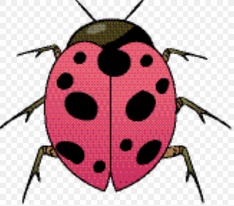 Beetle Lady Bird, PNG, 859x757px, Beetle, Insect, Jewel Bugs, Lady Bird, Ladybug Download Free