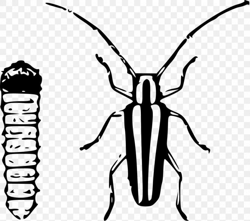 Clip Art, PNG, 900x795px, Drawing, Arthropod, Artwork, Black And White, Fly Download Free